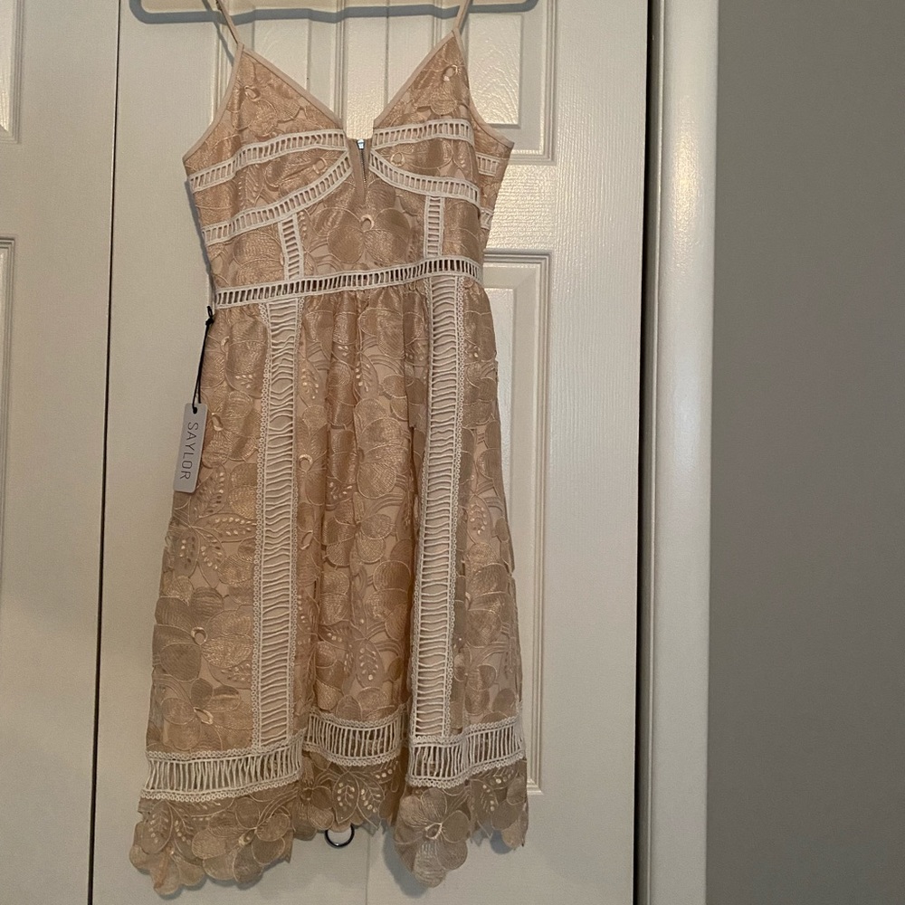 Saylor Hattie Blush Lace Dress New
